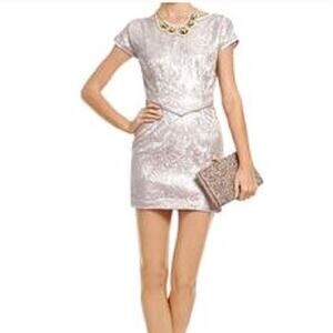 Radenroro New York Champagne Blush Pink Metallic Lace Gauze Sheath Dress 4 S